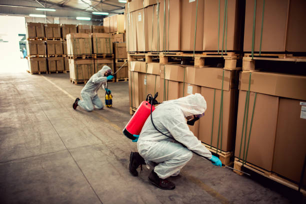 Best Mosquito Control Services  in Walnut Grove, CA