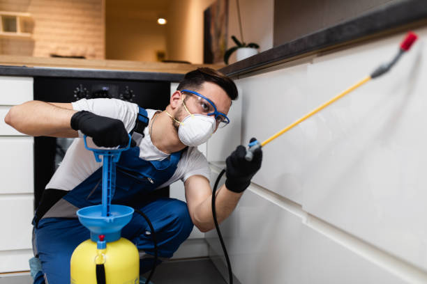 Best Ant Control Services  in Walnut Grove, CA