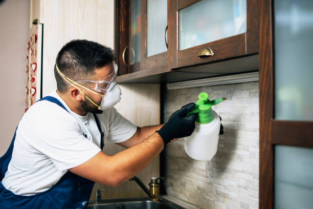 Best Cockroach Control Services  in Walnut Grove, CA