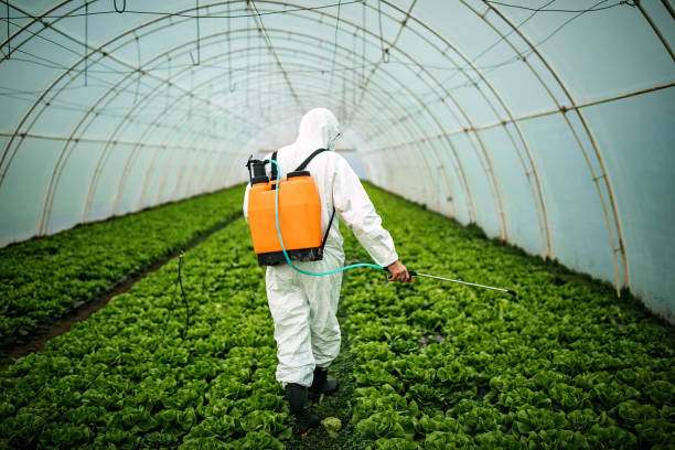 Professional Pest Control in Walnut Grove, CA