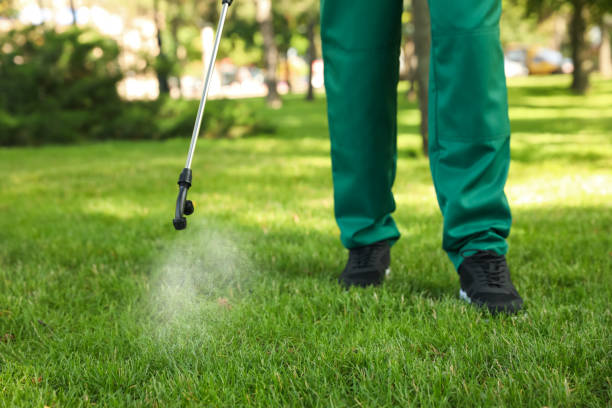 Best Exterminator Services  in Walnut Grove, CA