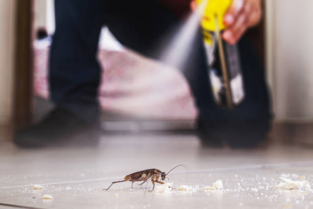 Best Commercial Pest Control Services  in Walnut Grove, CA